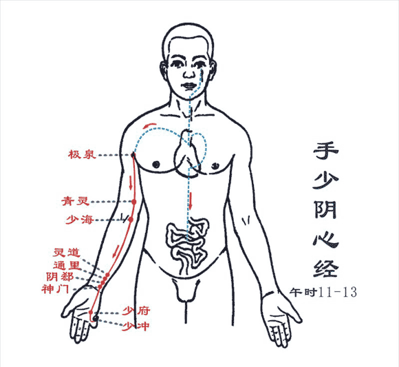 手太陰心經.gif