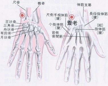 養老穴.jpg