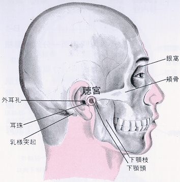 聽宮穴.jpg