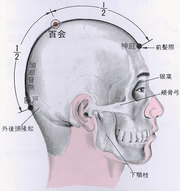 百會穴.jpg