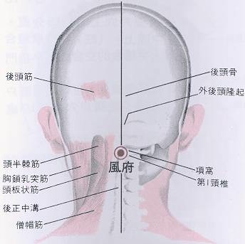 風府穴.jpg