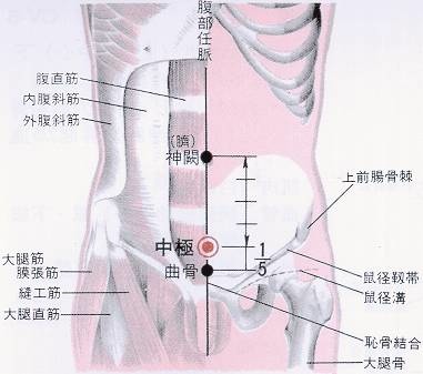 中極穴.jpg