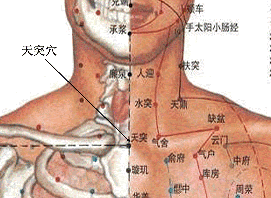 天突穴.gif