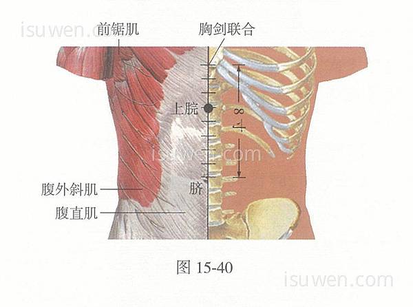 上脘穴.jpg