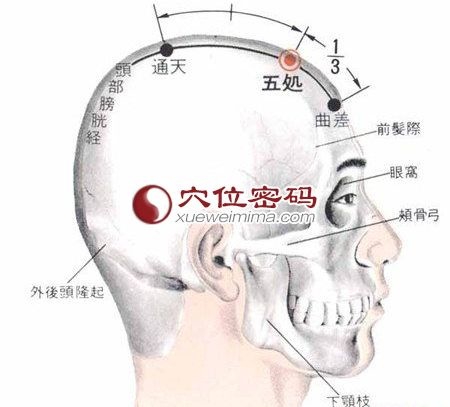 五處穴.jpg