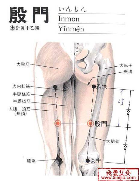 足太陽膀胱經 腳小指 Jadeseye的氣功煉炁之道 痞客邦