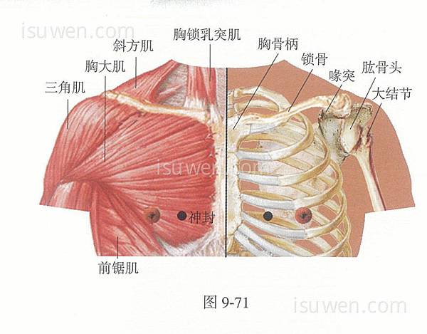 神封穴.jpg