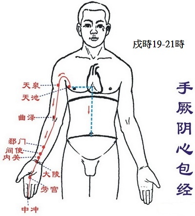 手厥陰心包經.jpg