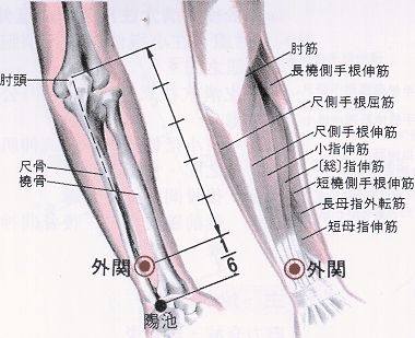 外關穴.jpg