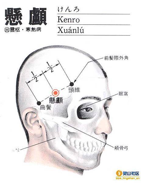 懸顱穴.jpg