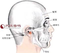 聽會穴.jpg