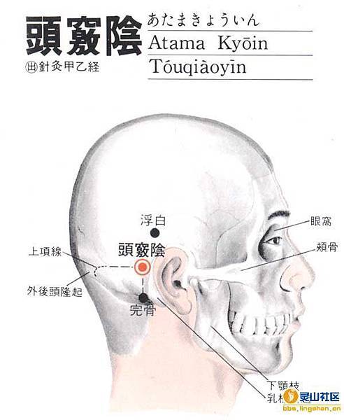 頭竅陰穴.jpg