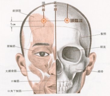 頭臨泣穴.jpg