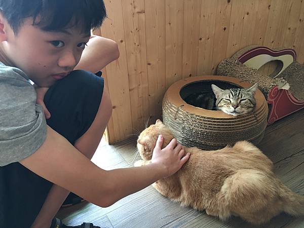 小孩愛玩毛小孩 貓毛 狗毛 過敏 JAIR 潔淨 空氣清淨機4 小孩愛玩毛小孩 貓毛 狗毛 過敏 JAIR 潔淨 空氣清淨機4