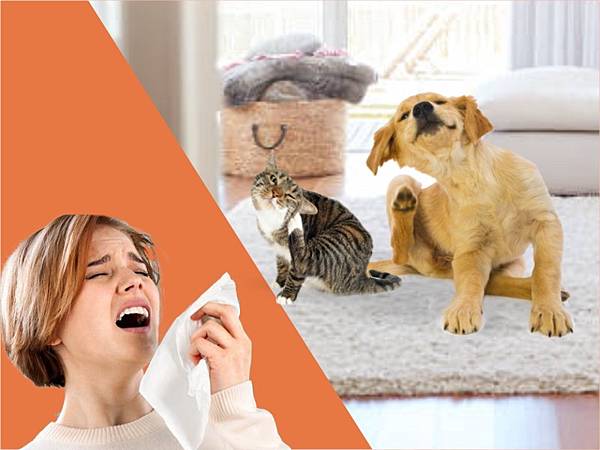 blog.jpg 推薦選擇JAIR空氣清淨機