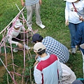 老師還幫同學拔豆子耶