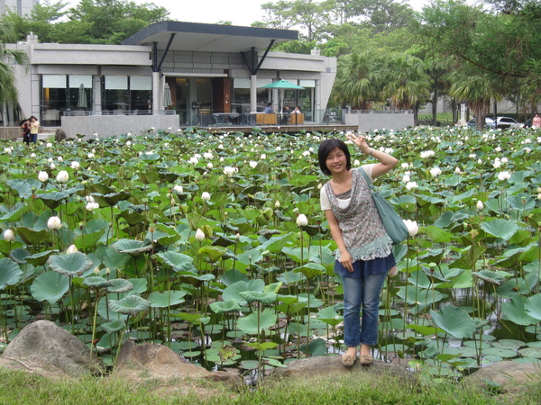 一池夏荷配香芃