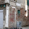 Venice- 老婦人餵鴿子