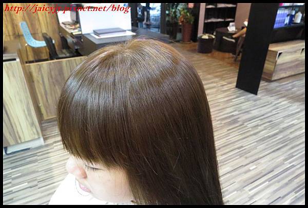 IMG_1290.JPG IMG_1290.JPG