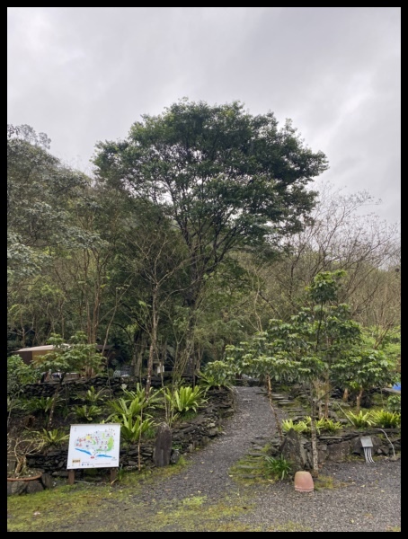 美麗台灣第四露【宜蘭露營推薦】【野石森林 露營區】下雨天也有