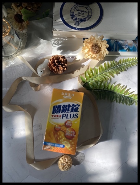 【網購二型膠原蛋白推薦】【台塩生技】關鍵錠,熟齡的活動力關鍵