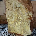 IMG20211021105630.jpg