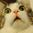 2e405b4587253af72ae13feeae51ae06_w48_h48.jpeg 2e405b4587253af72ae13feeae51ae06_w48_h48.jpeg