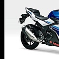 2017 SUZUKI GSX250R