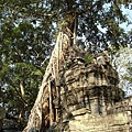 Ta Prohm