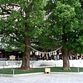 明治神宮 (Meijijingu)