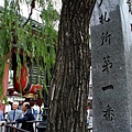 雷門 (Asakusa Kaminarimon)