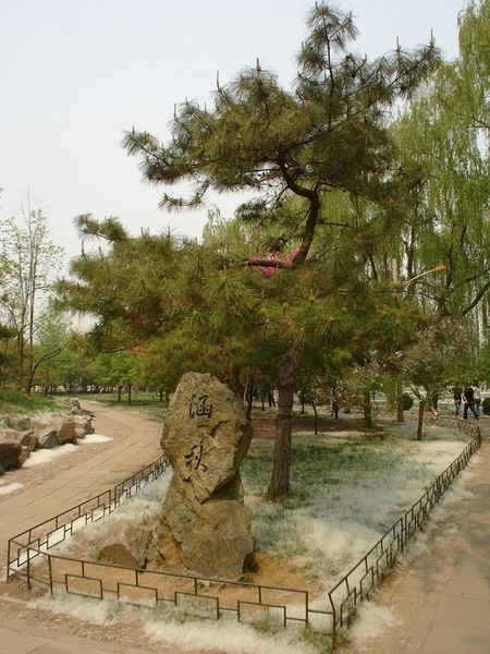 圓明園