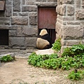 北京動物園 - 大熊貓館