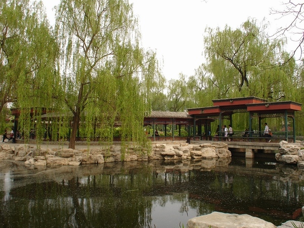 北京動物園 - 牡丹亭