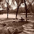 北京大學 - 未名湖