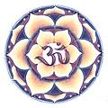 lotus oM