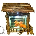 阿象的第一個魚缸屋