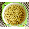 soybean_germinate06.jpg