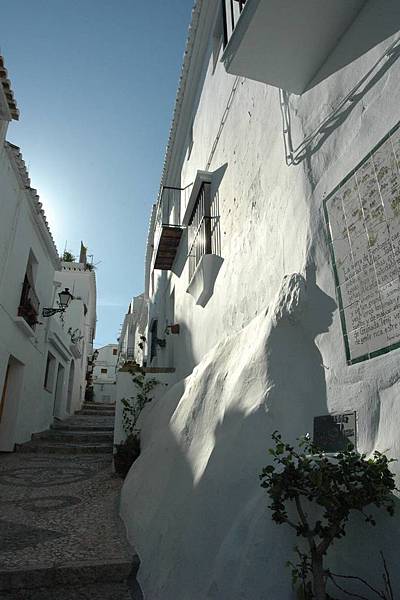 FRIGILIANA_08.jpg