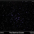 M44 鬼宿星團（蜂巢星團）