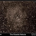NGC2244 薔薇星雲 