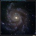 M 101