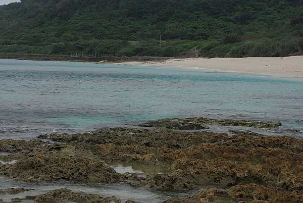 砂島~墾丁最純淨的貝殼沙灘