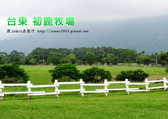 台東初鹿牧場 台東初鹿牧場