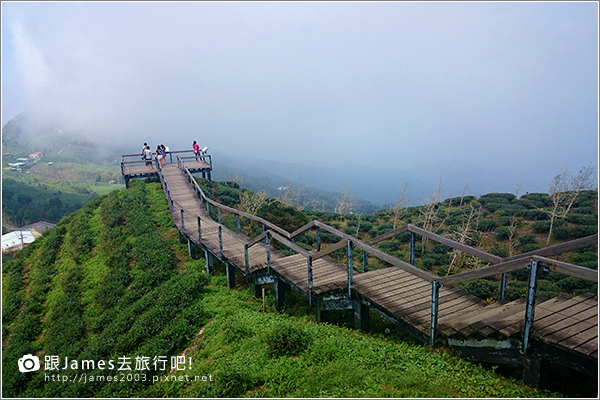 【南投旅遊】銀杏森林、大崙山茶園觀景台 01.JPG