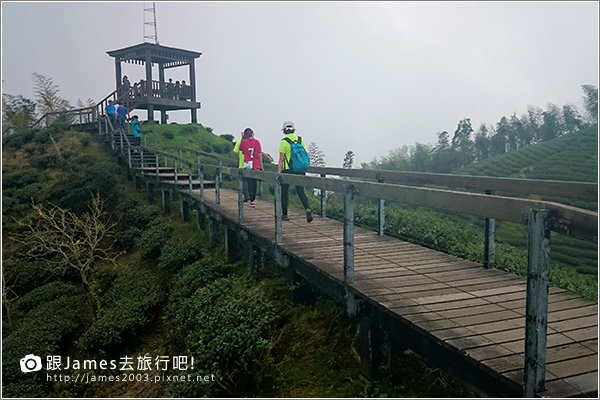 【南投旅遊】銀杏森林、大崙山茶園觀景台 07.JPG