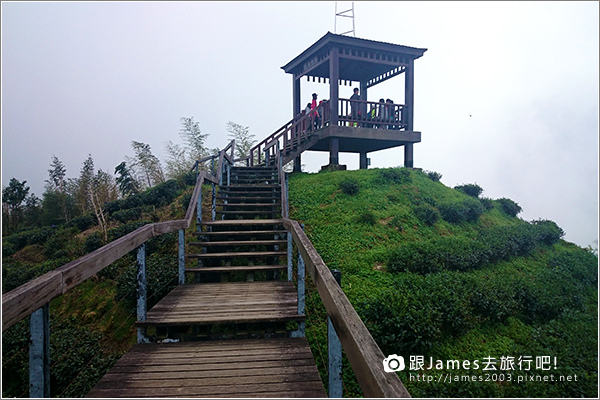 【南投旅遊】銀杏森林、大崙山茶園觀景台 08.JPG