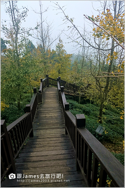 【南投旅遊】銀杏森林、大崙山茶園觀景台 11.JPG