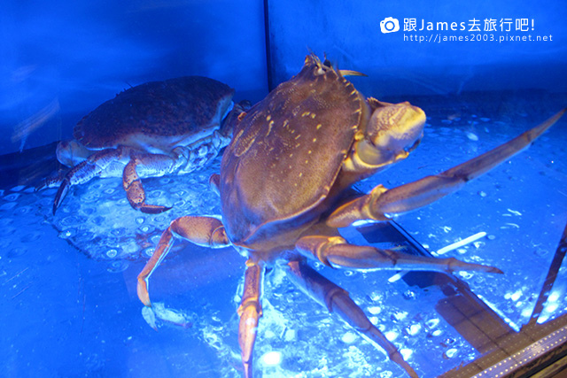 【台中美食】海王子精緻鍋物、聚餐、火鍋、崇德路餐廳、文心路餐廳 09.JPG