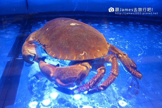 【台中美食】海王子精緻鍋物、聚餐、火鍋、崇德路餐廳、文心路餐廳 10.JPG